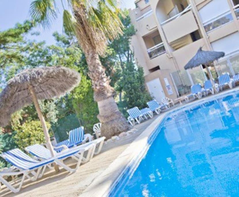 Studio/F1Bis A 50 M De La Plage Argelès-sur-Mer Eksteriør billede