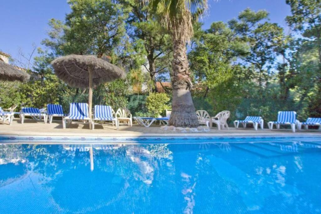 Studio/F1Bis A 50 M De La Plage Argelès-sur-Mer Eksteriør billede